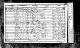 1851 census for Dinah, a widow ('daniele') with 4 children